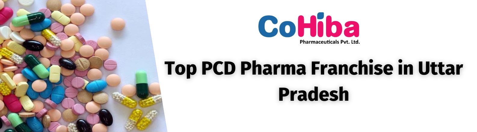 Top PCD Pharma Franchise in Uttar Pradesh